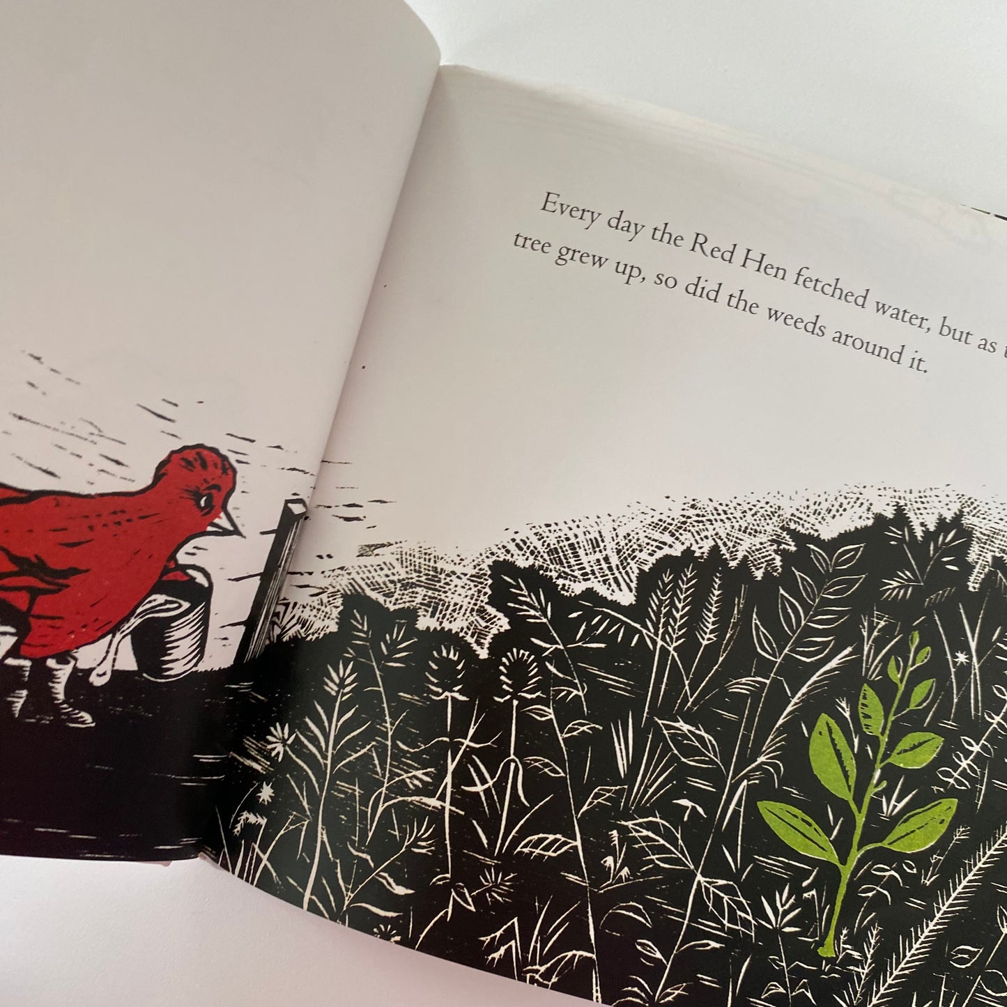 Out Of The Egg Book