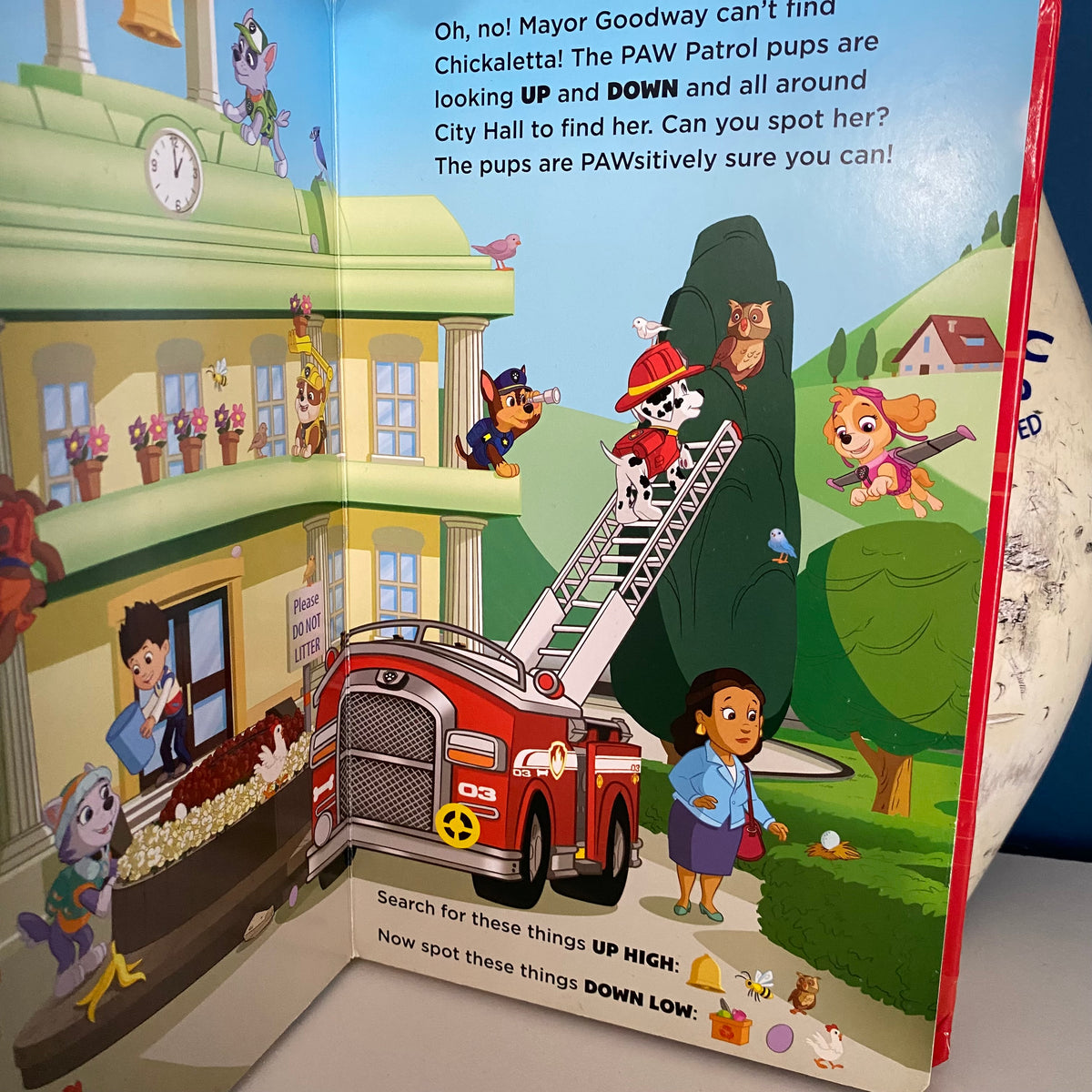 Paw Patrol Up & Down Look & Find Board Book