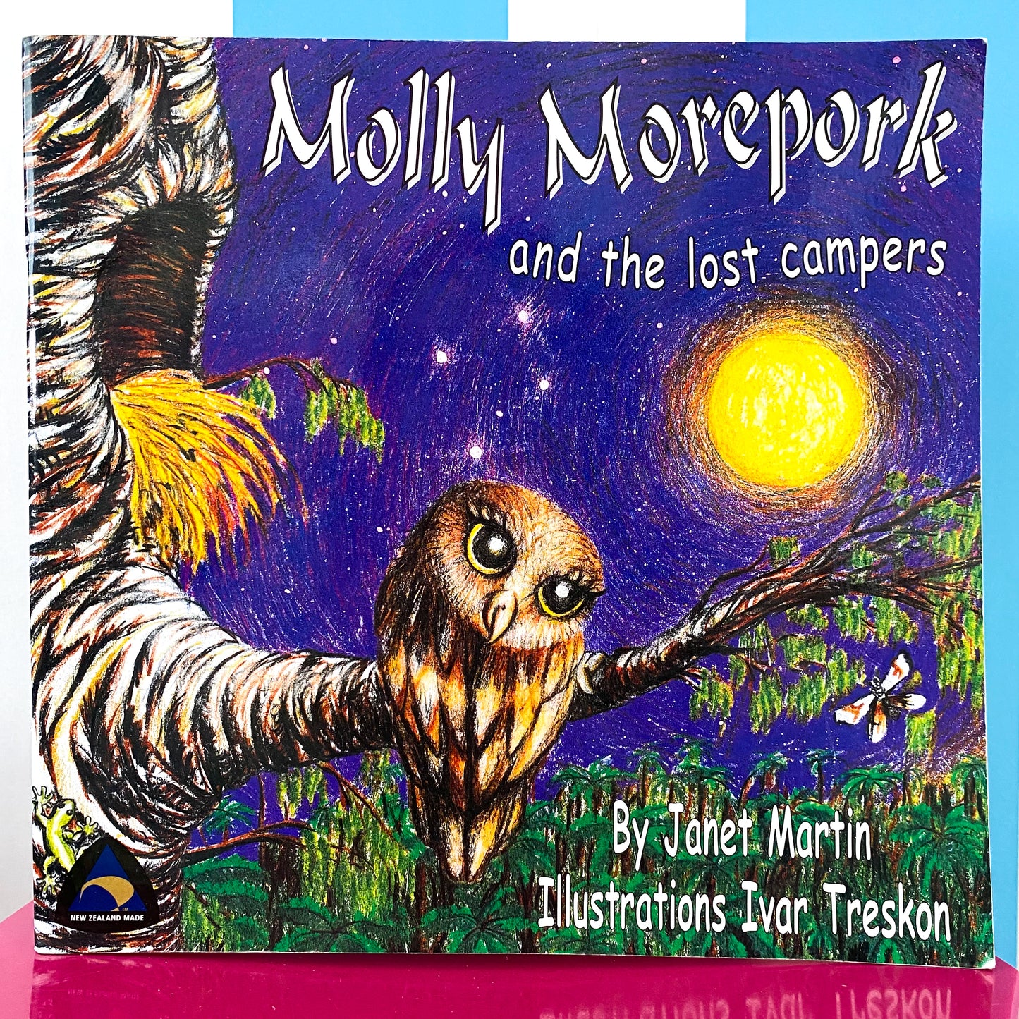 Molly Morepork & The Lost Campers Book