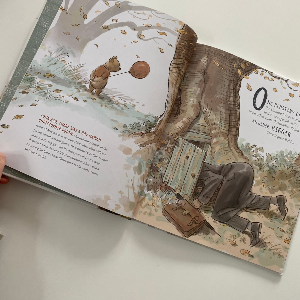 Disney Winnie The Pooh A Boy, A Bear, A Balloon Book