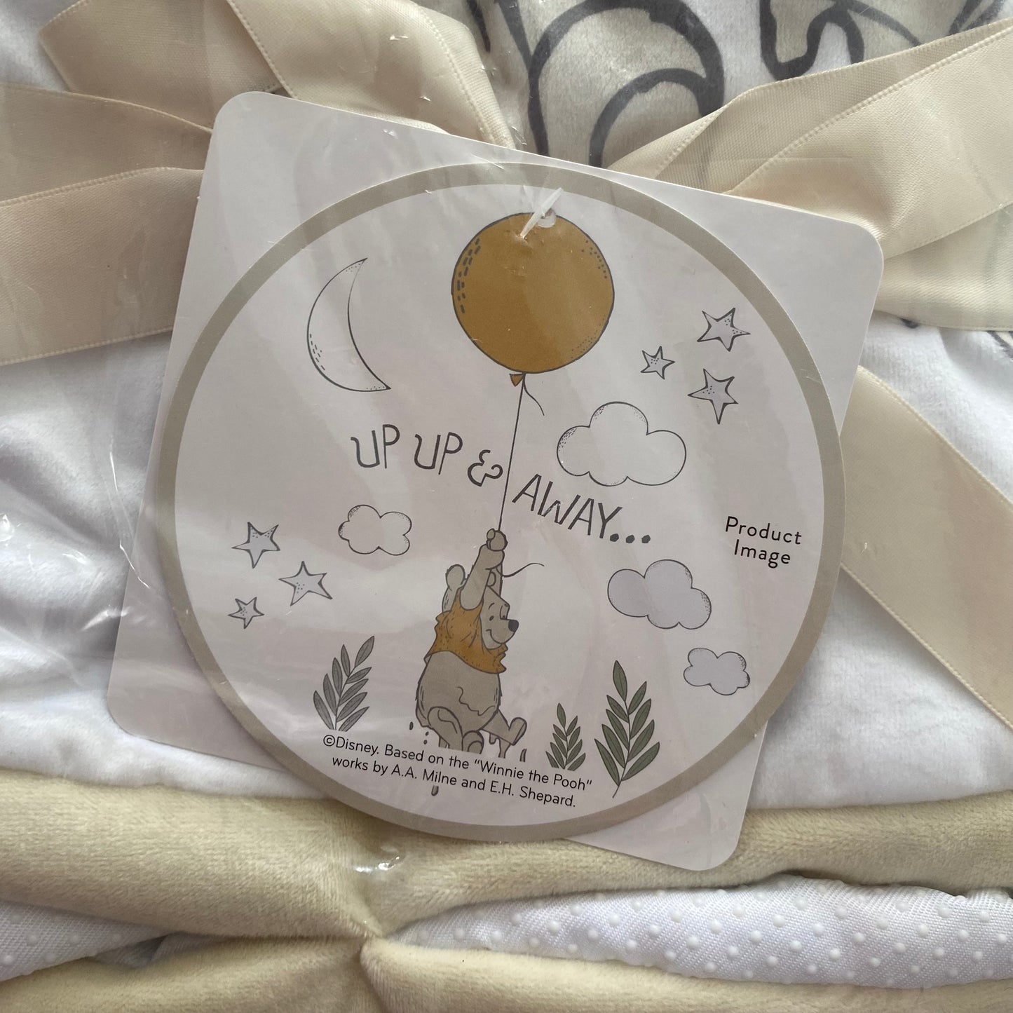 Winnie The Pooh Playmat (NEW)
