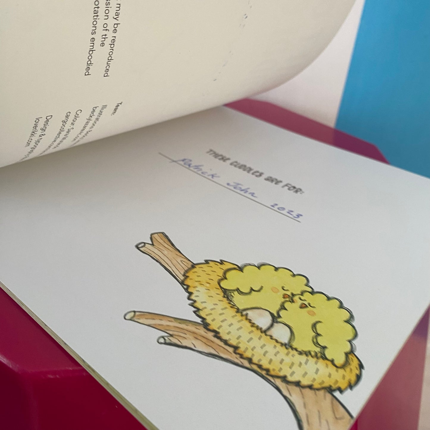 The Gift Of A Cuddle Book