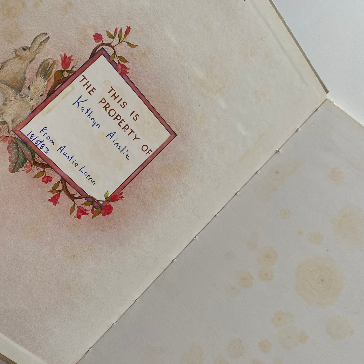 Vintage Rainbow Rabbits Book