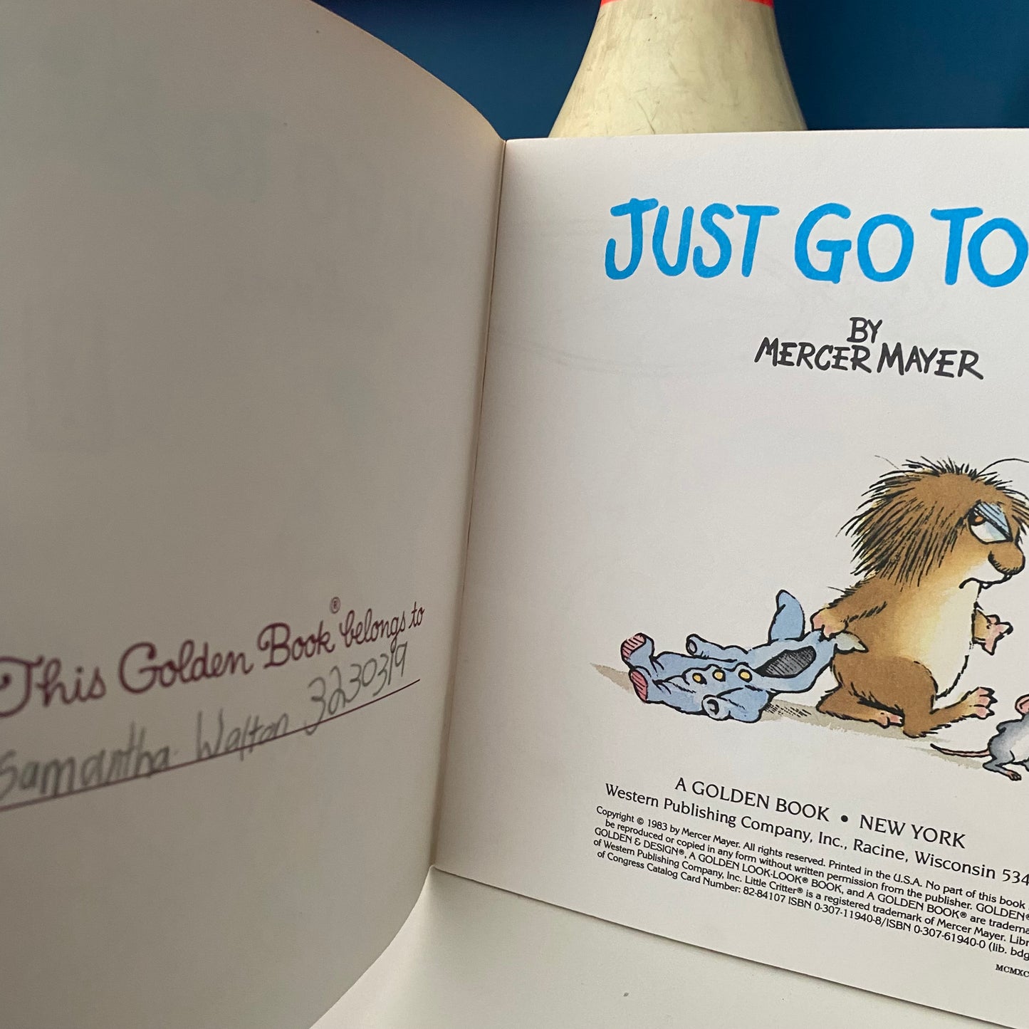 Mercer Mayer Little Critters Just Go To Bed Book