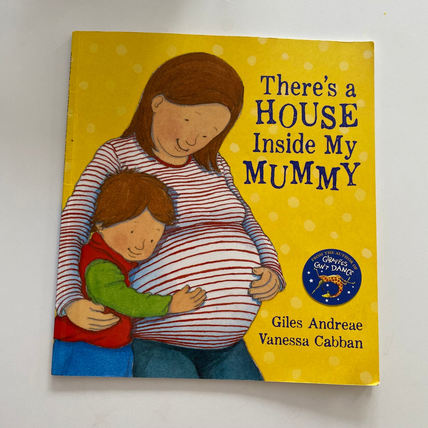 There’s A House Inside My Mummy Book