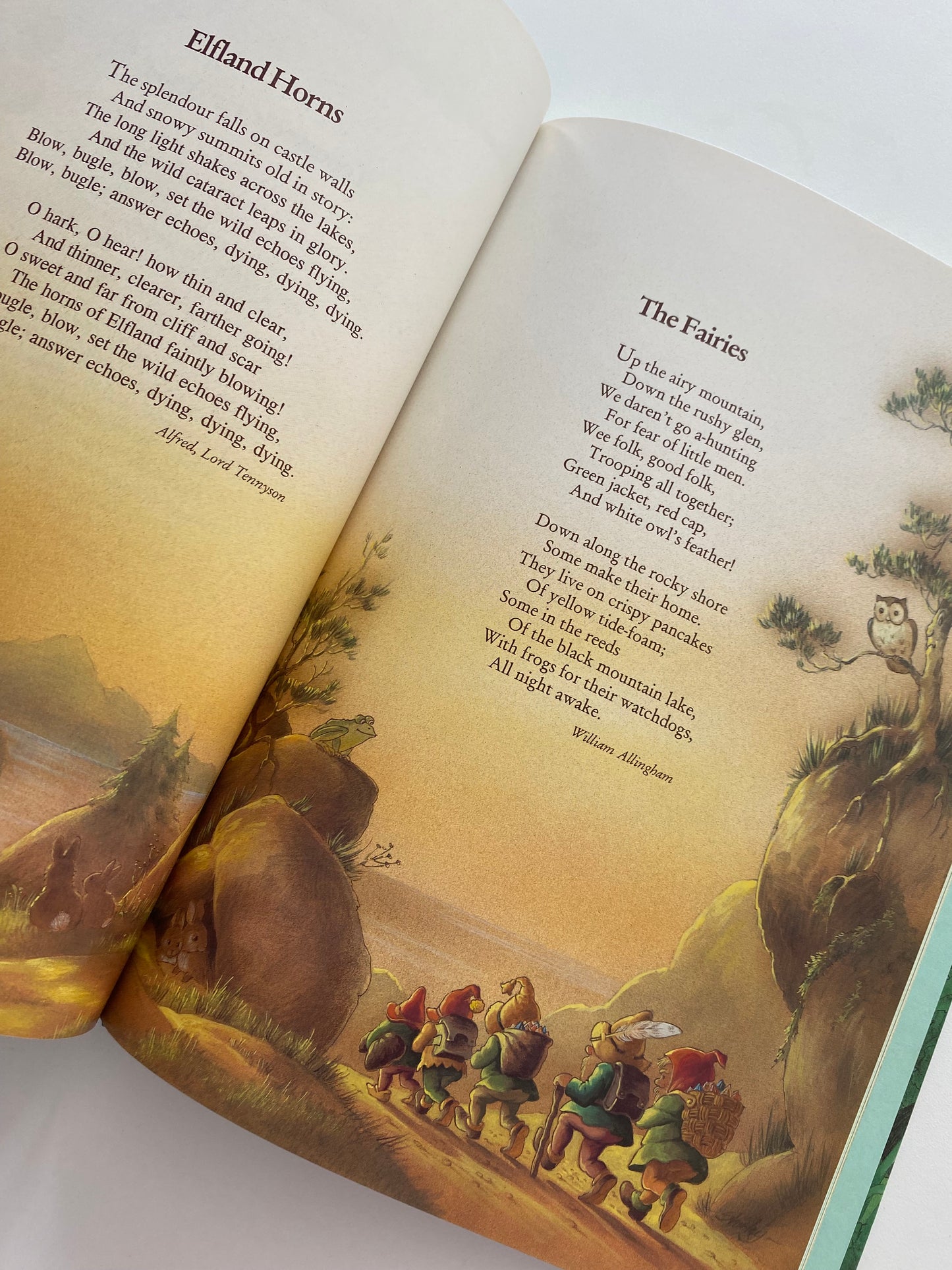 Shirley Barber An Anthology Of Verse Fairy Book