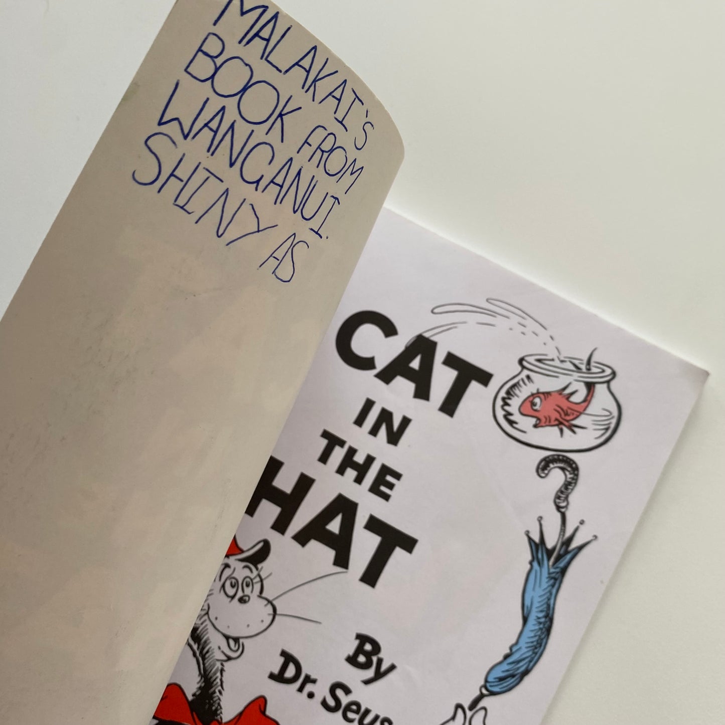 Dr Seuss The Cat In The Hat Book