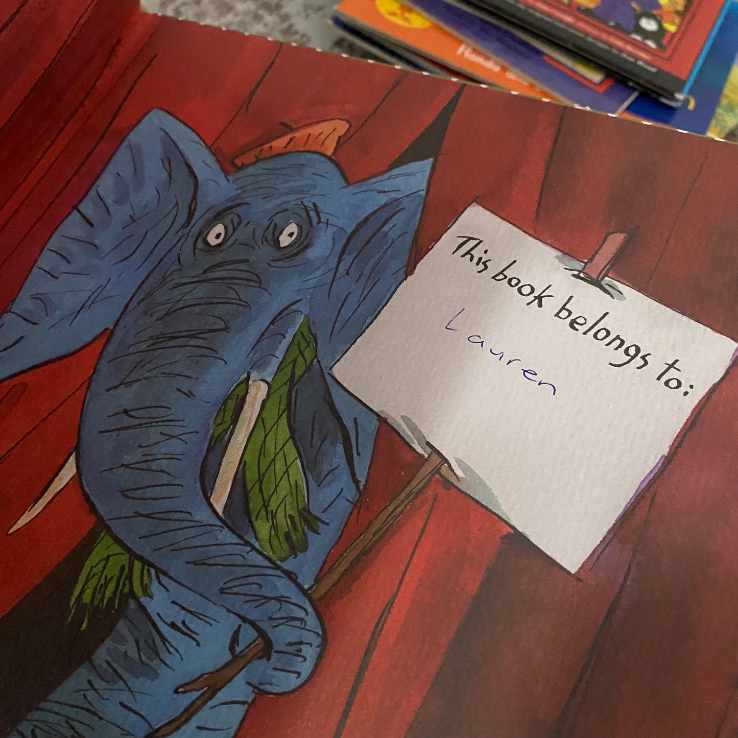 David Williams The Slightly Annoying Elephant Book