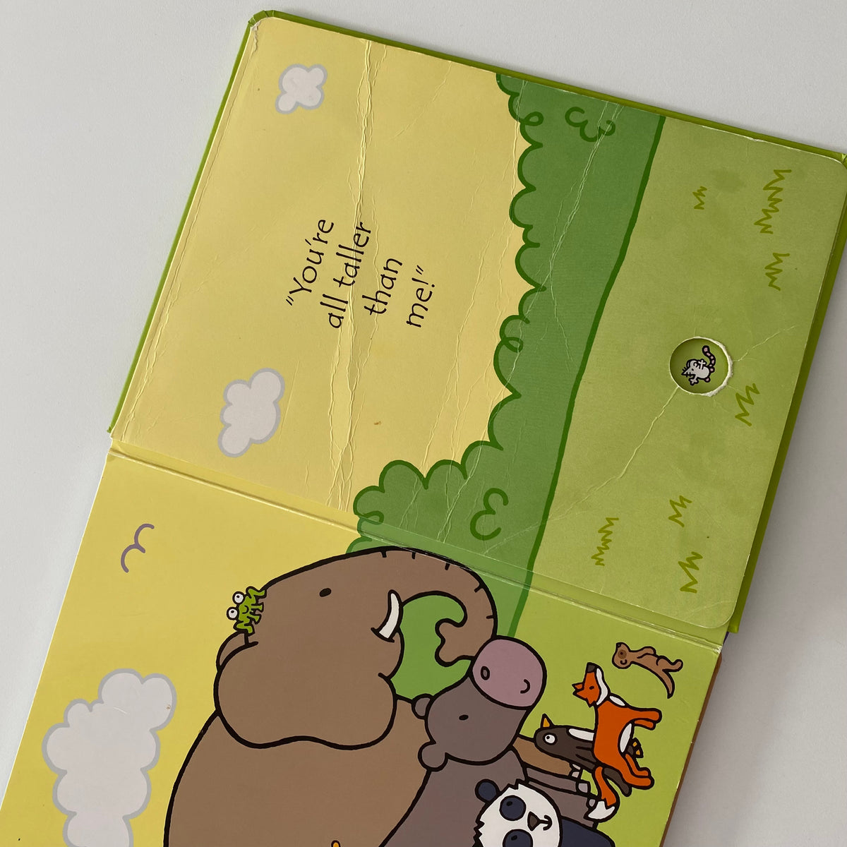 Usborne That’s Not My… Taller & Shorter Board Book