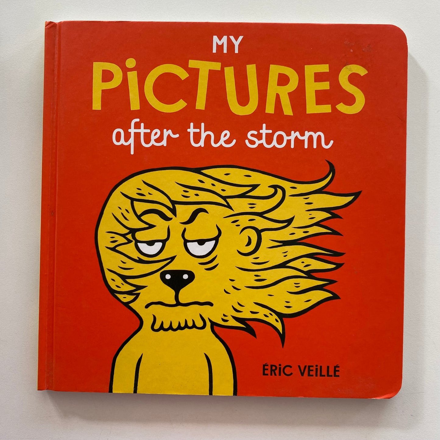 My Pictures After The Storm Book