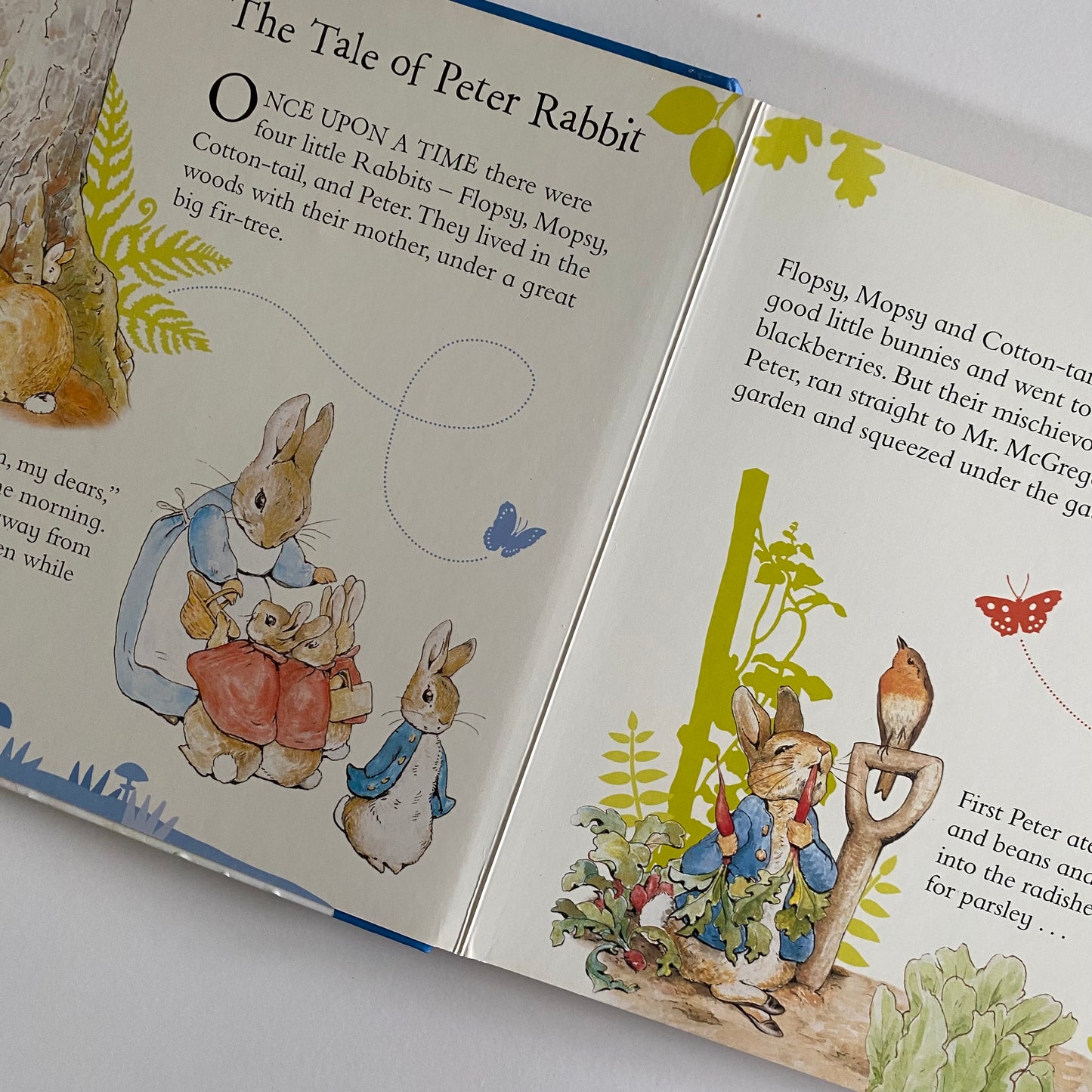 Book - Peter Rabbit Bedtime Tales