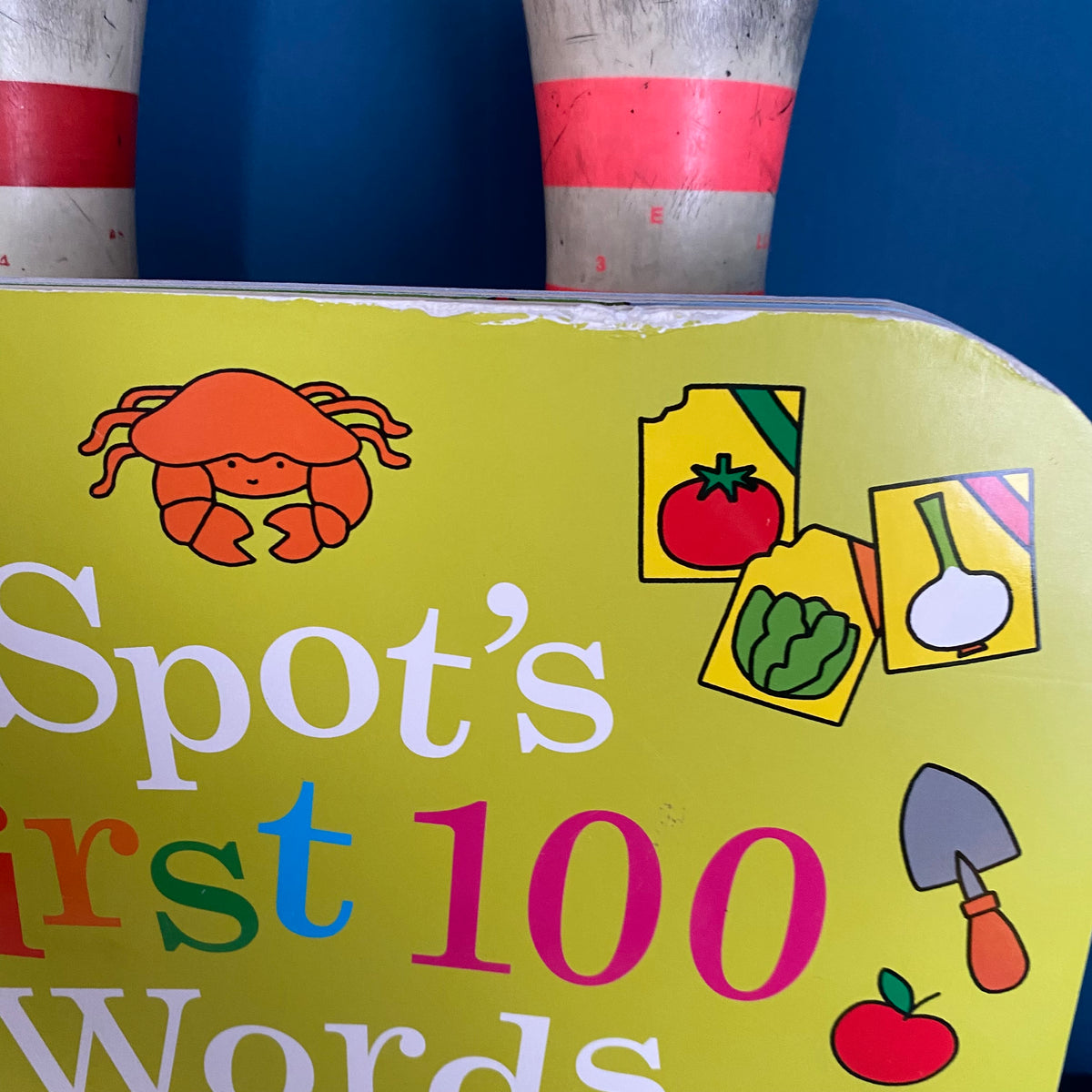 Spot’s First 100 Words Lift The Flap Board Book