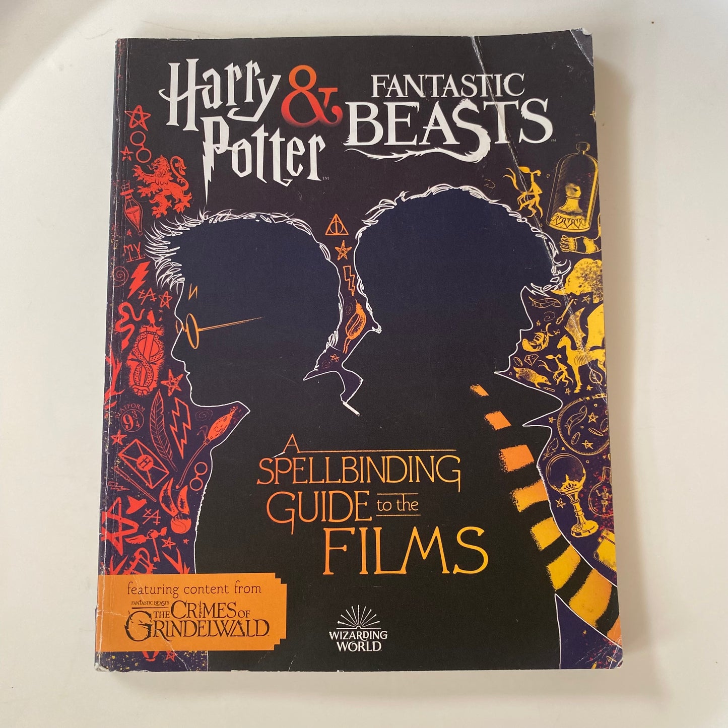 Harry Potter & Fantastic Beasts Book