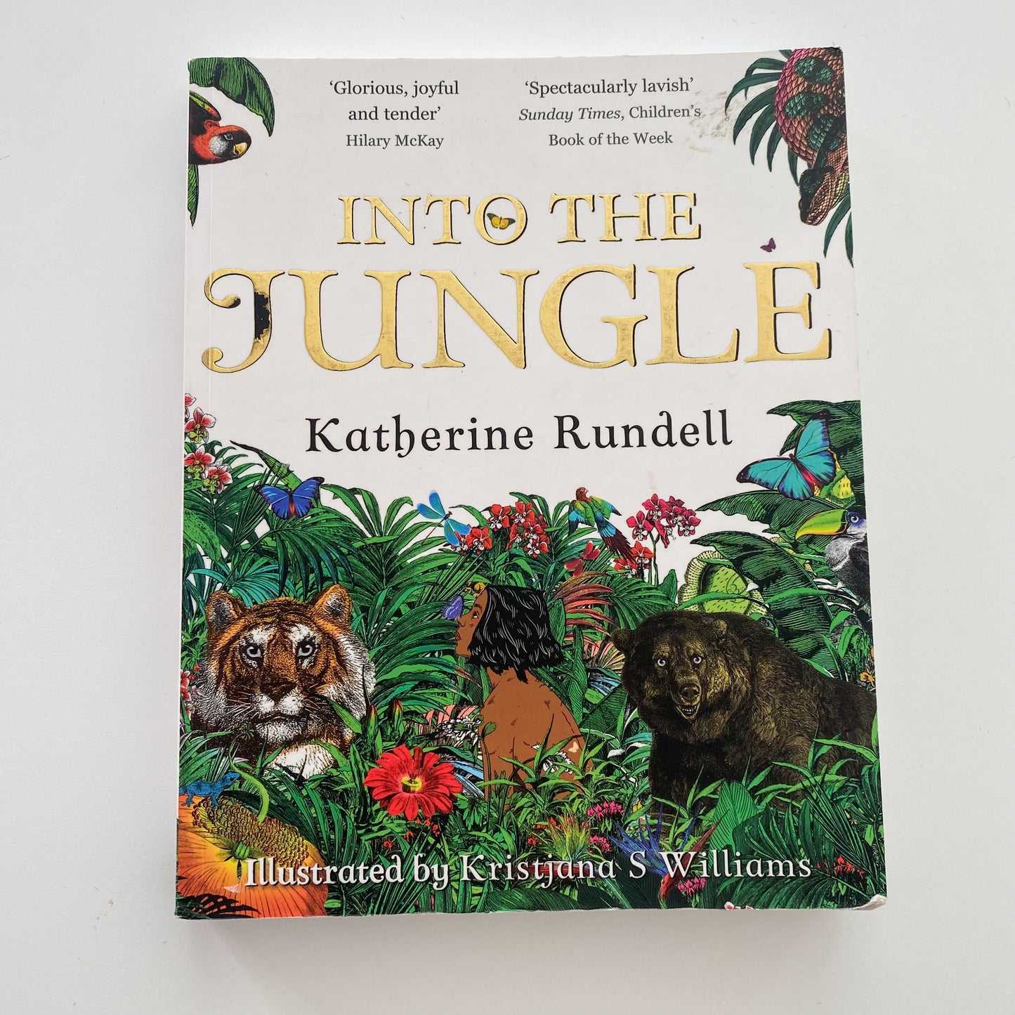 Into The Jungle Book