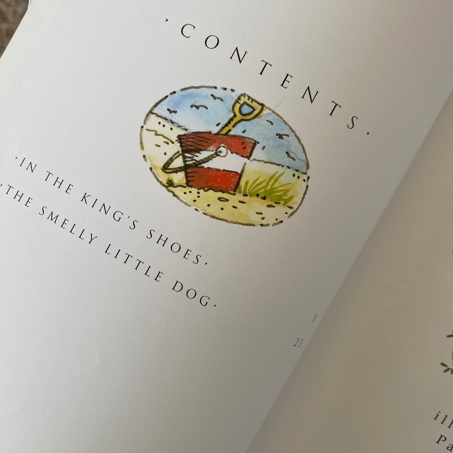Enid Blyton In The Kings Shoes & The Smelly Little Dog Book