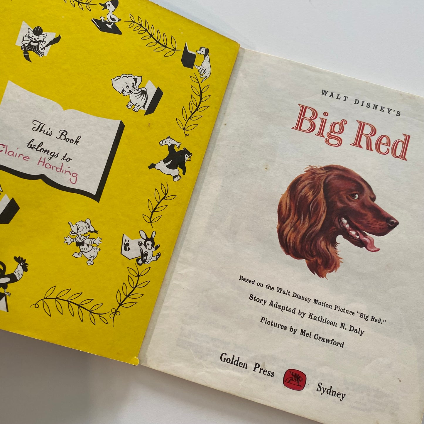 Book - Little Golden Big Red