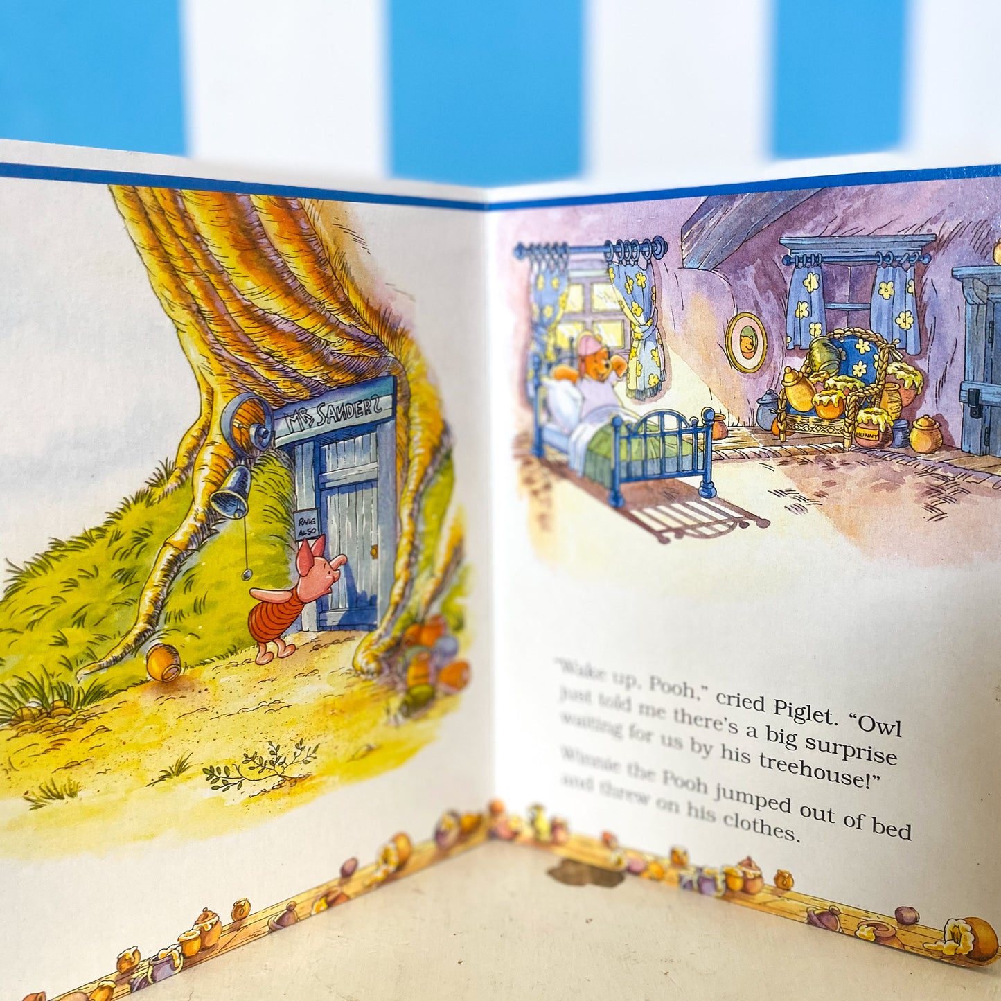 Winnie The Pooh & Friends Books