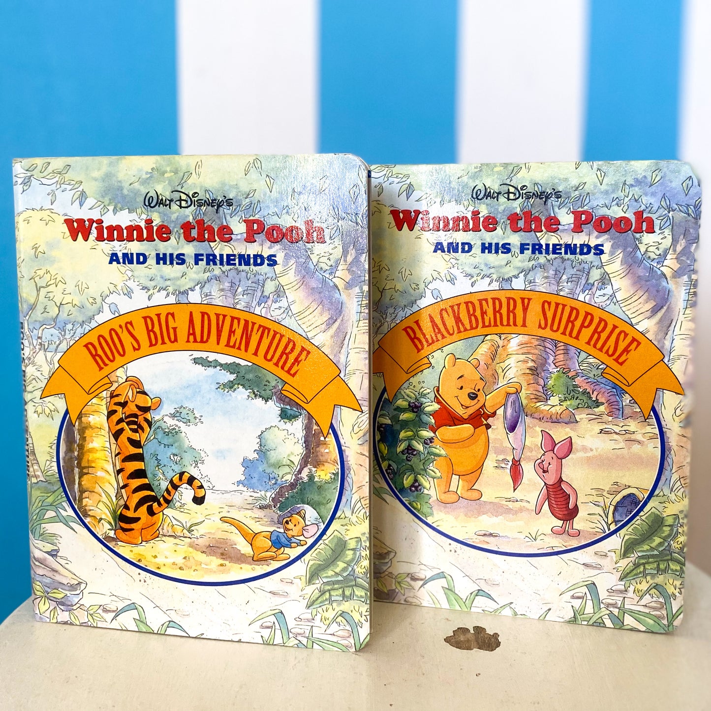 Winnie The Pooh & Friends Books