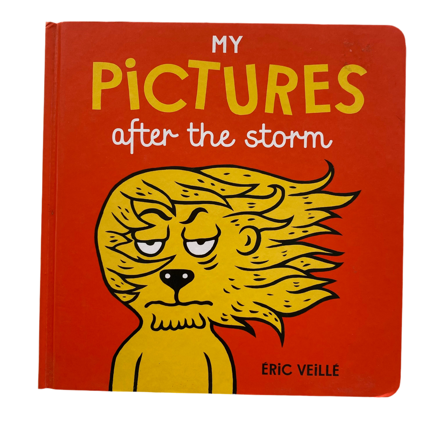 My Pictures After The Storm Book