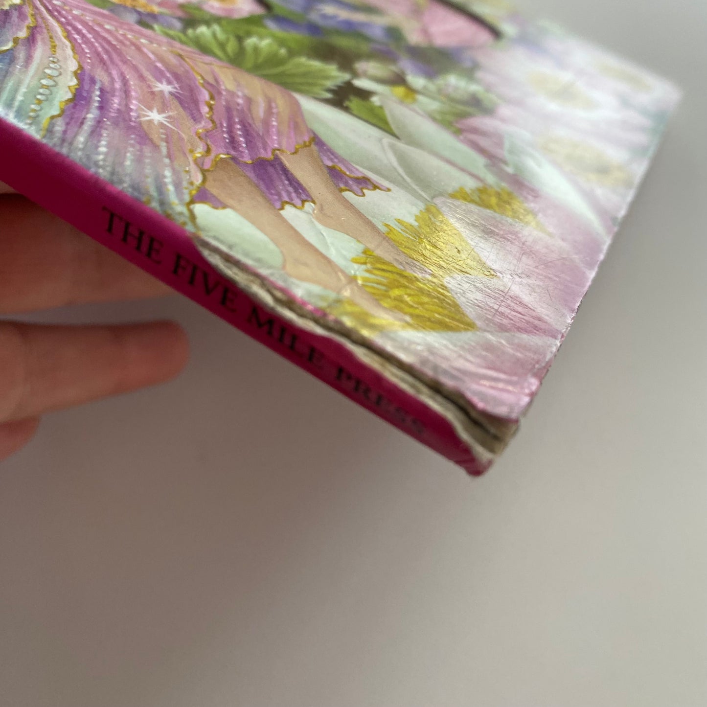 Shirley Barber Water Fun Fairy Book