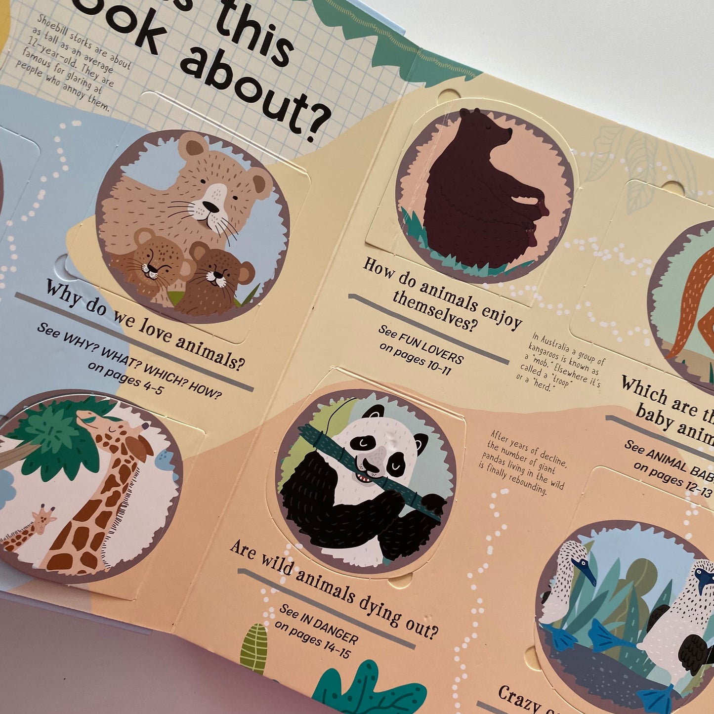 Wild About Animals Lift The Flap Book