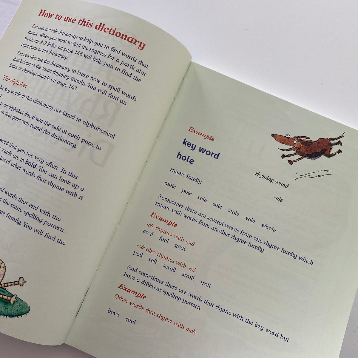 OXFORD Junior Rhyming Dictionary Book