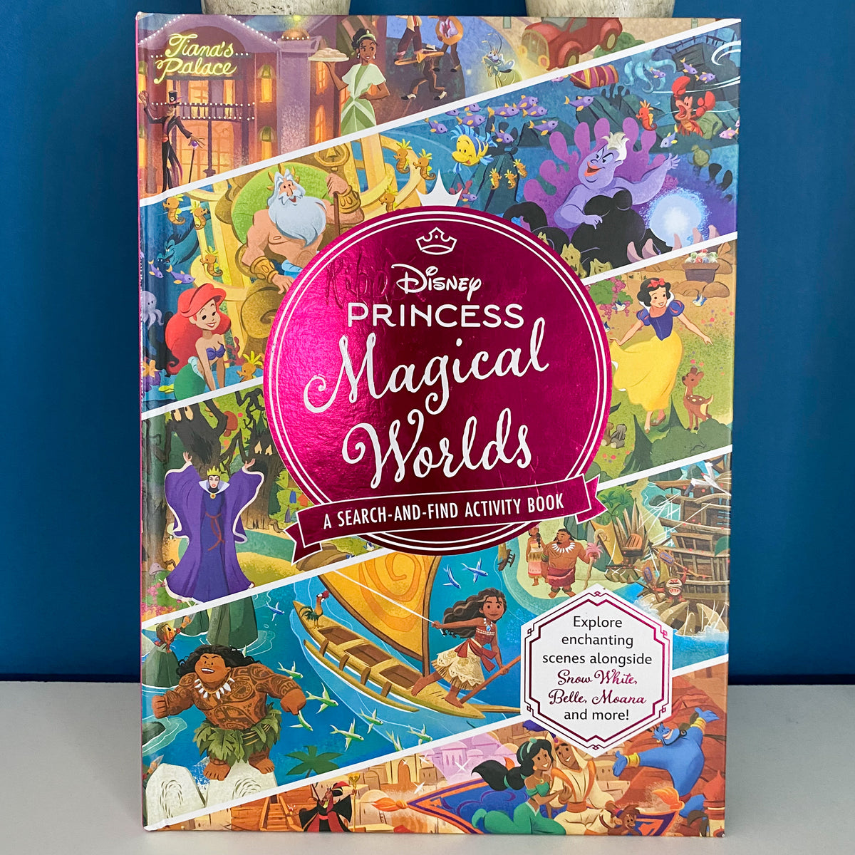 Disney Princess Magical Worlds Look & Find Book