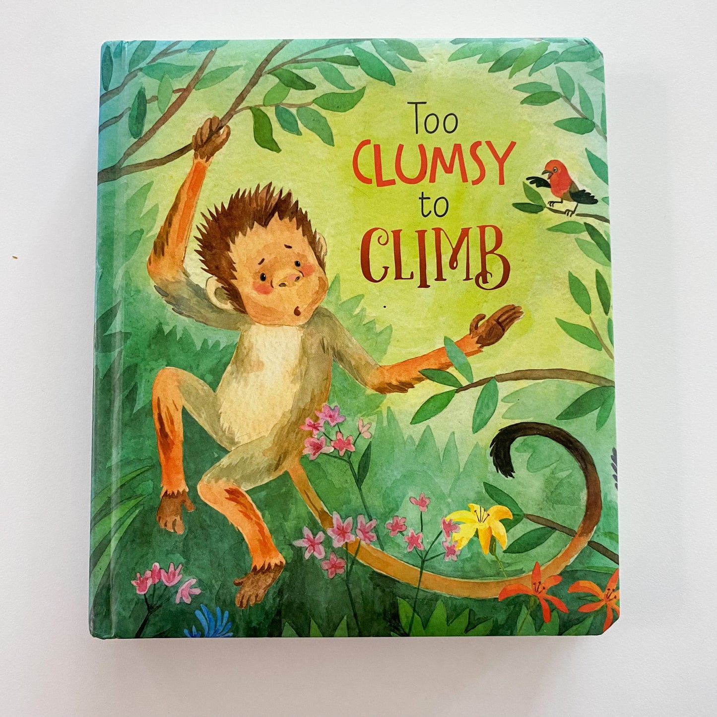 Too Clumsy To Climb Board Book