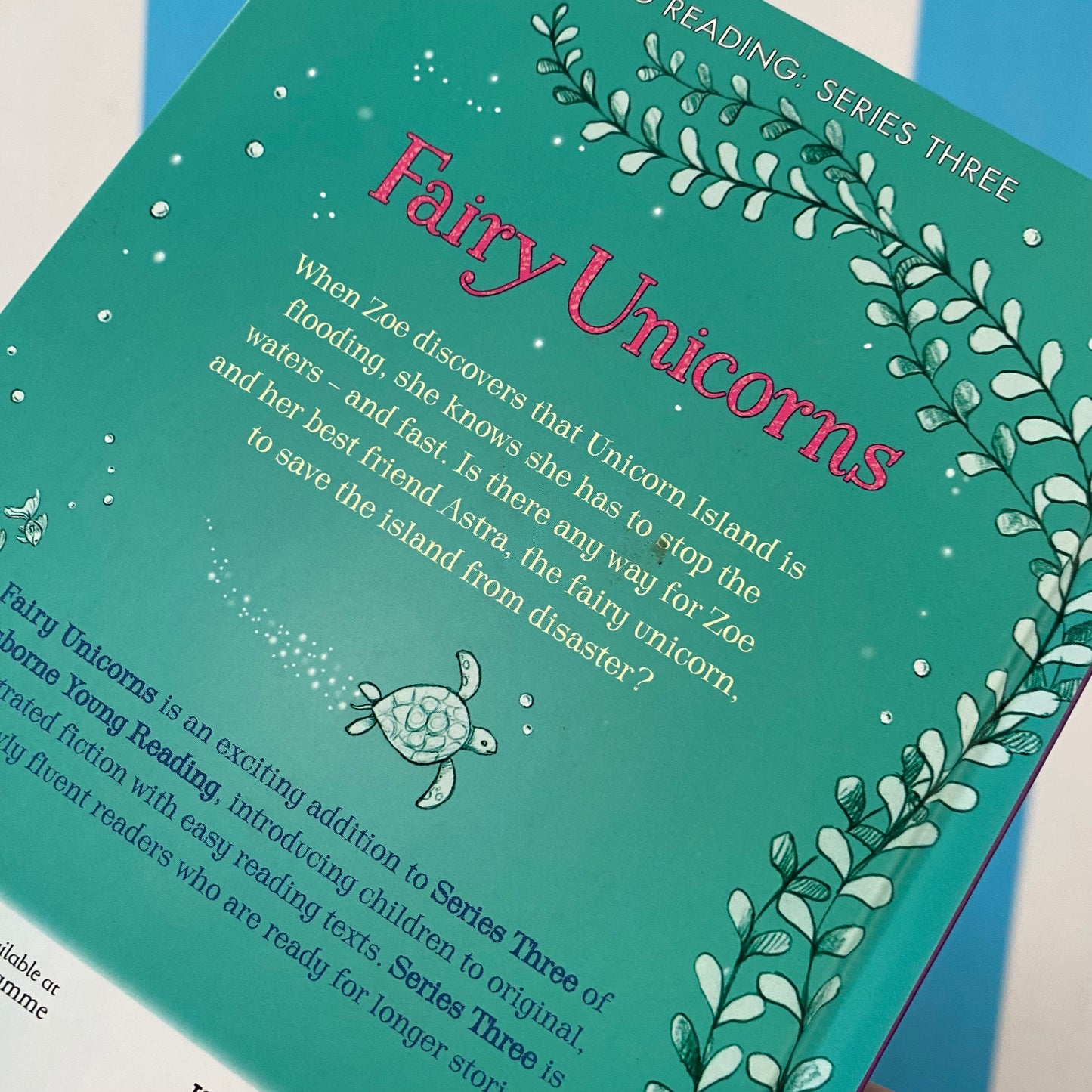 Fairy Unicorns Enchanted River Chapter Book