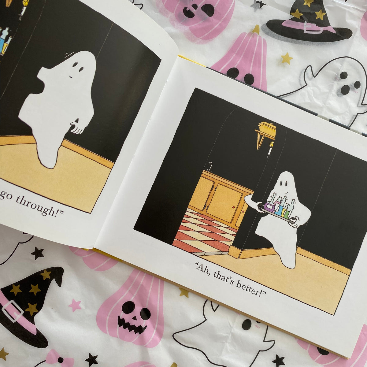Ghost Party Book