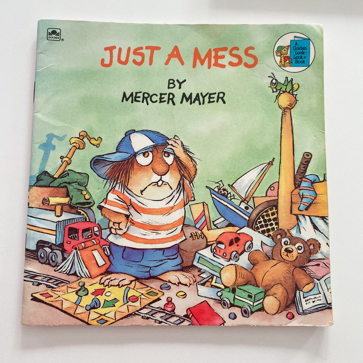 Mercer Mayer Little Critters Just A Mess Book