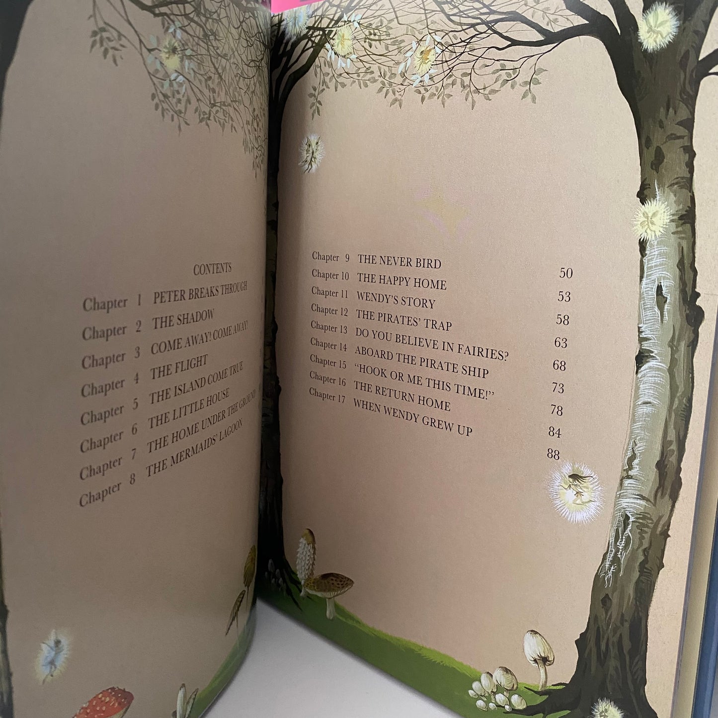 Vintage Peter Pan & Wendy Book
