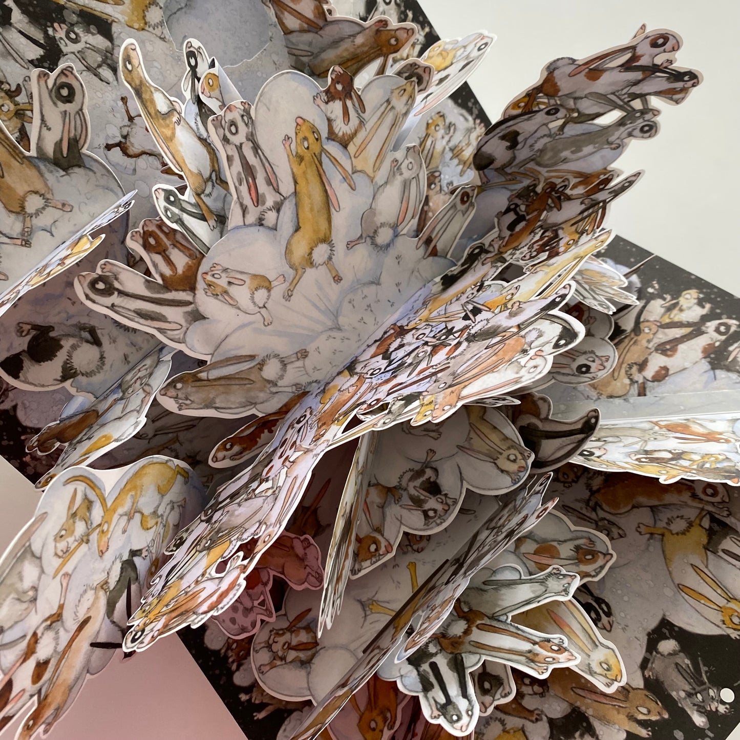 The Rabbit Problem Book