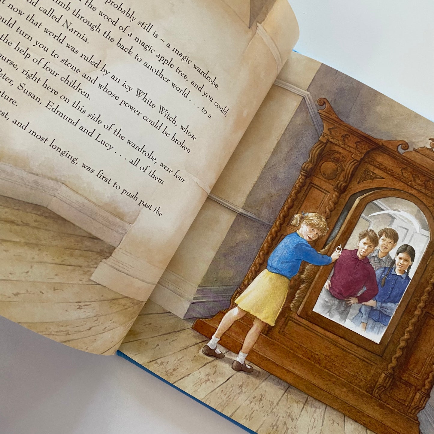 Narnia The Lion, The Witch & The Wardrobe Book