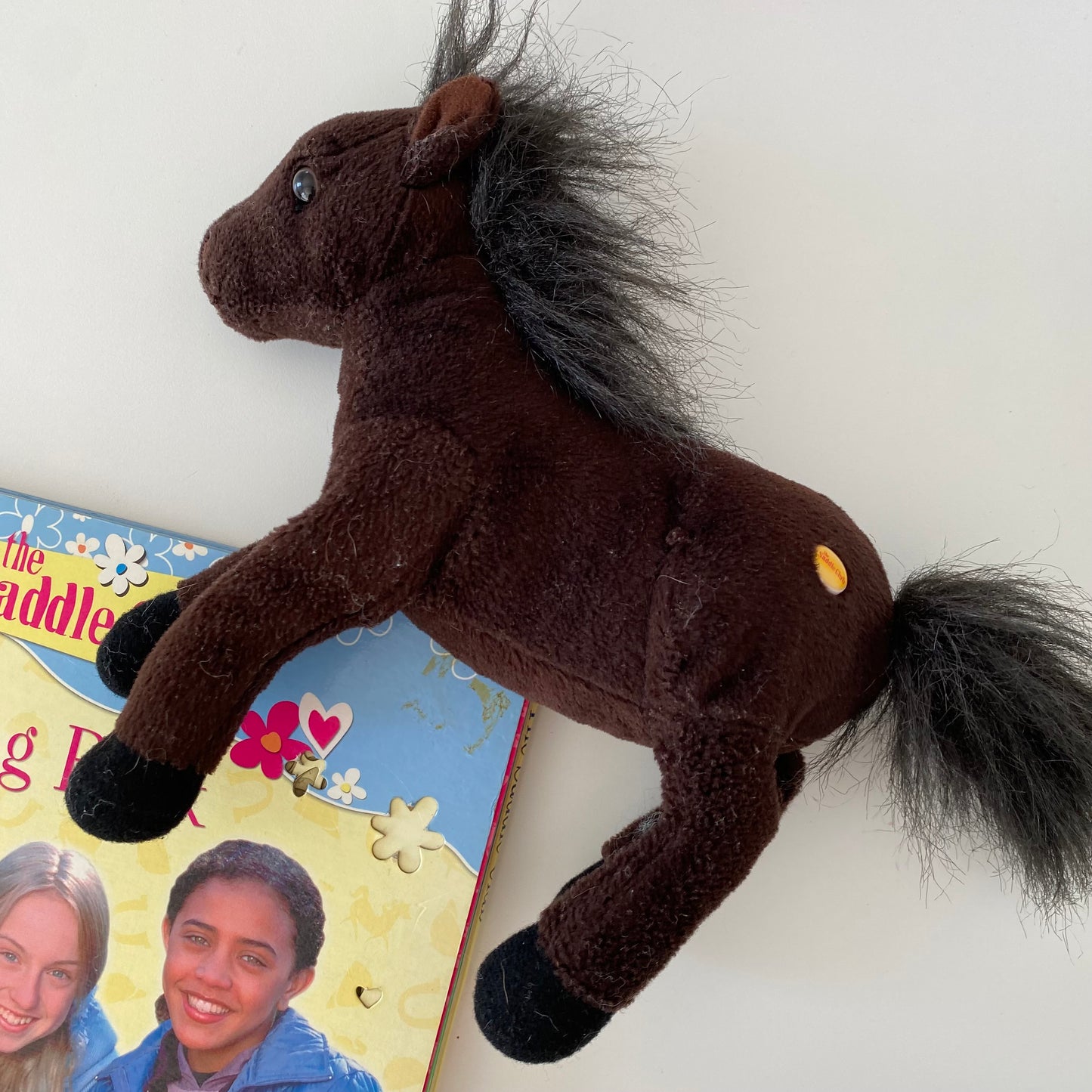 Saddle Club Stencil Book & Plush