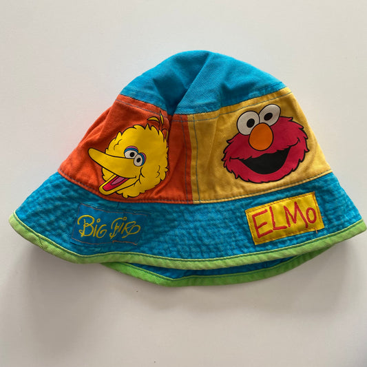 Sesame Street Hat - Size Toddler
