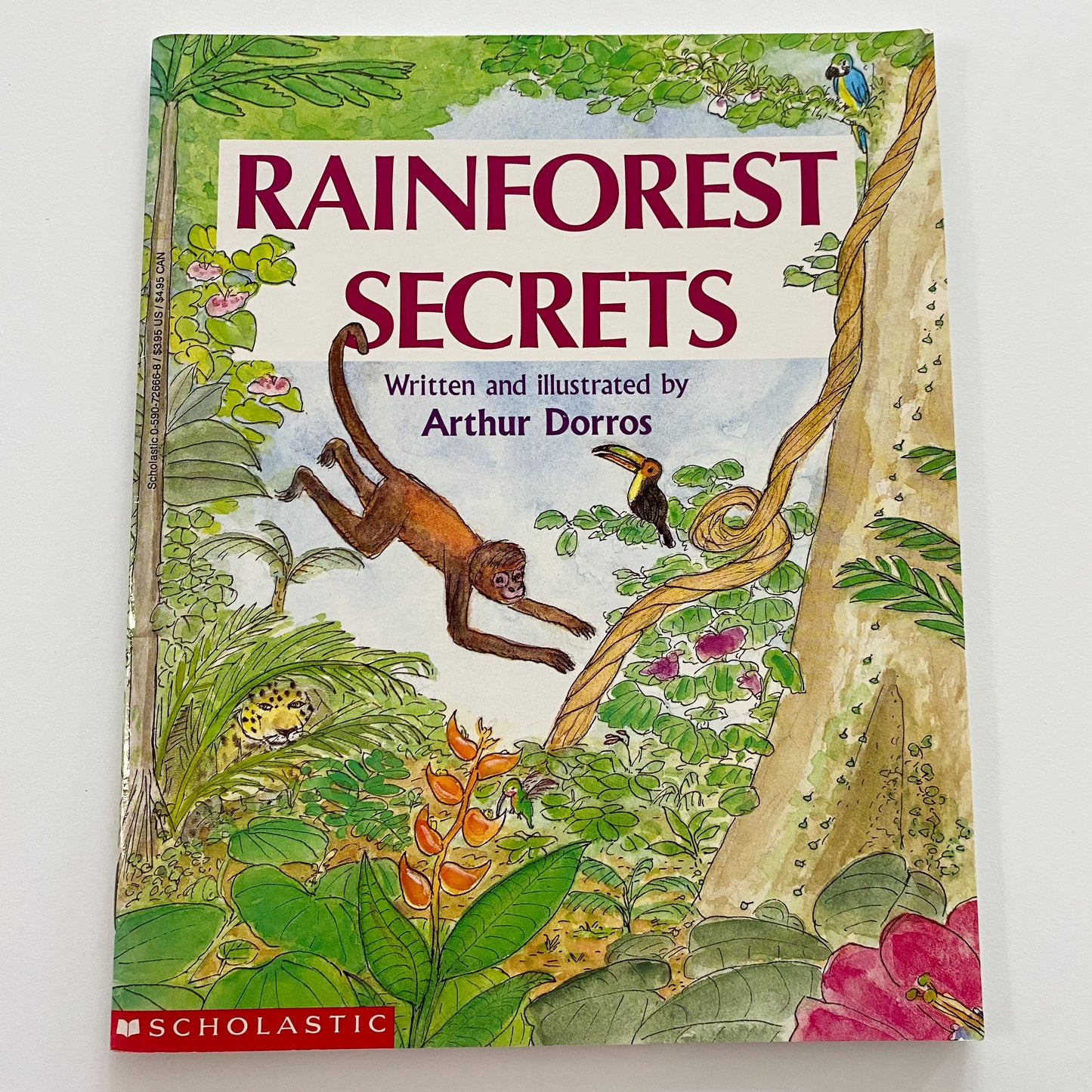 Rainforest Secrets Book