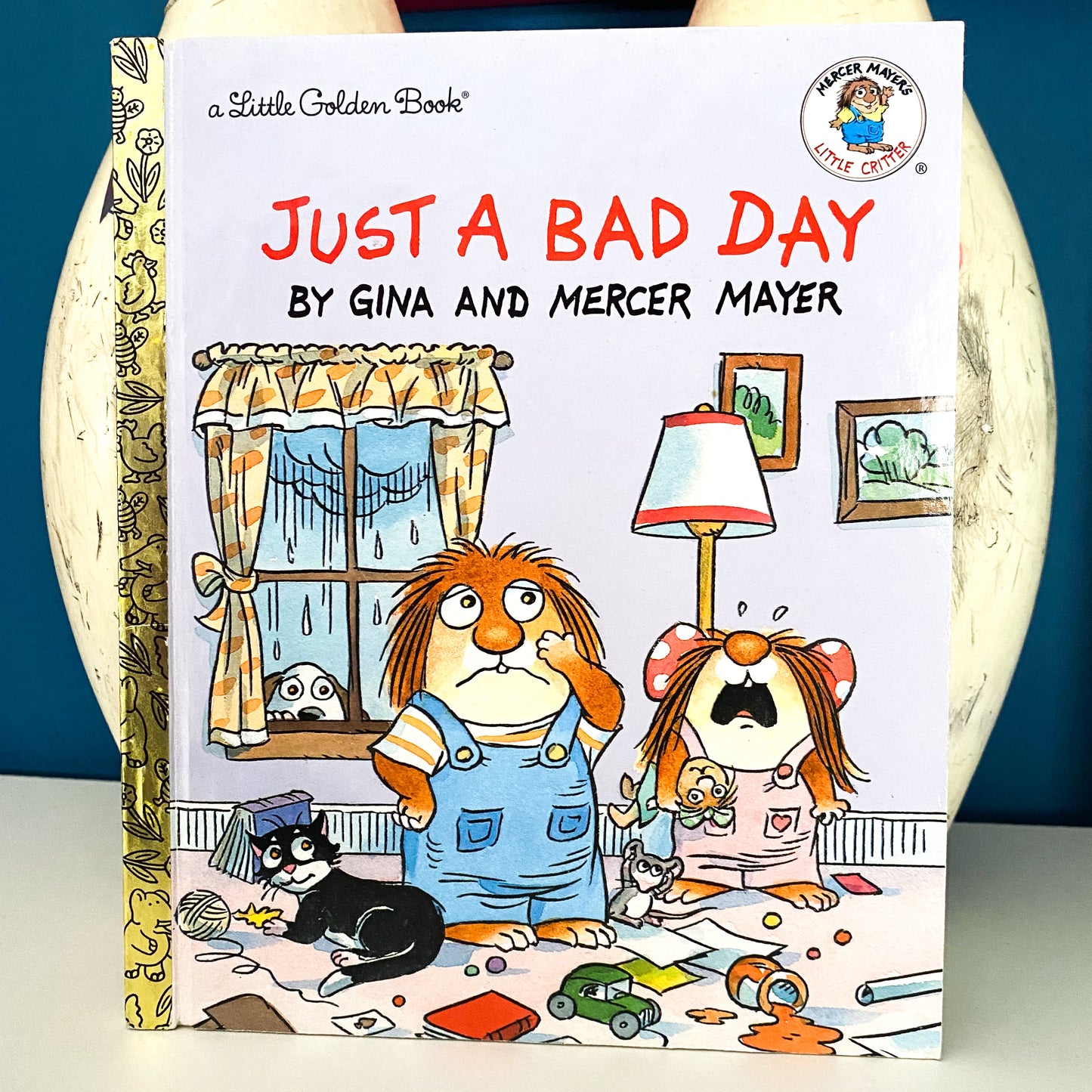 Mercer Mayer Little Critters Just A Bad Day Book