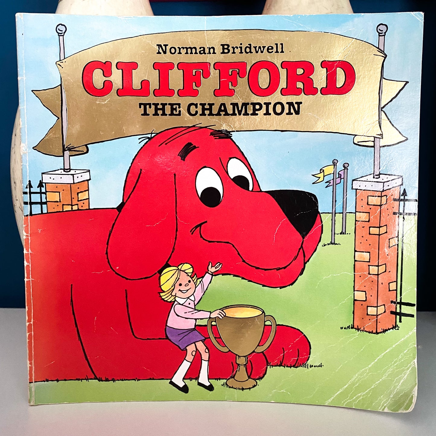 Clifford The Champion Book