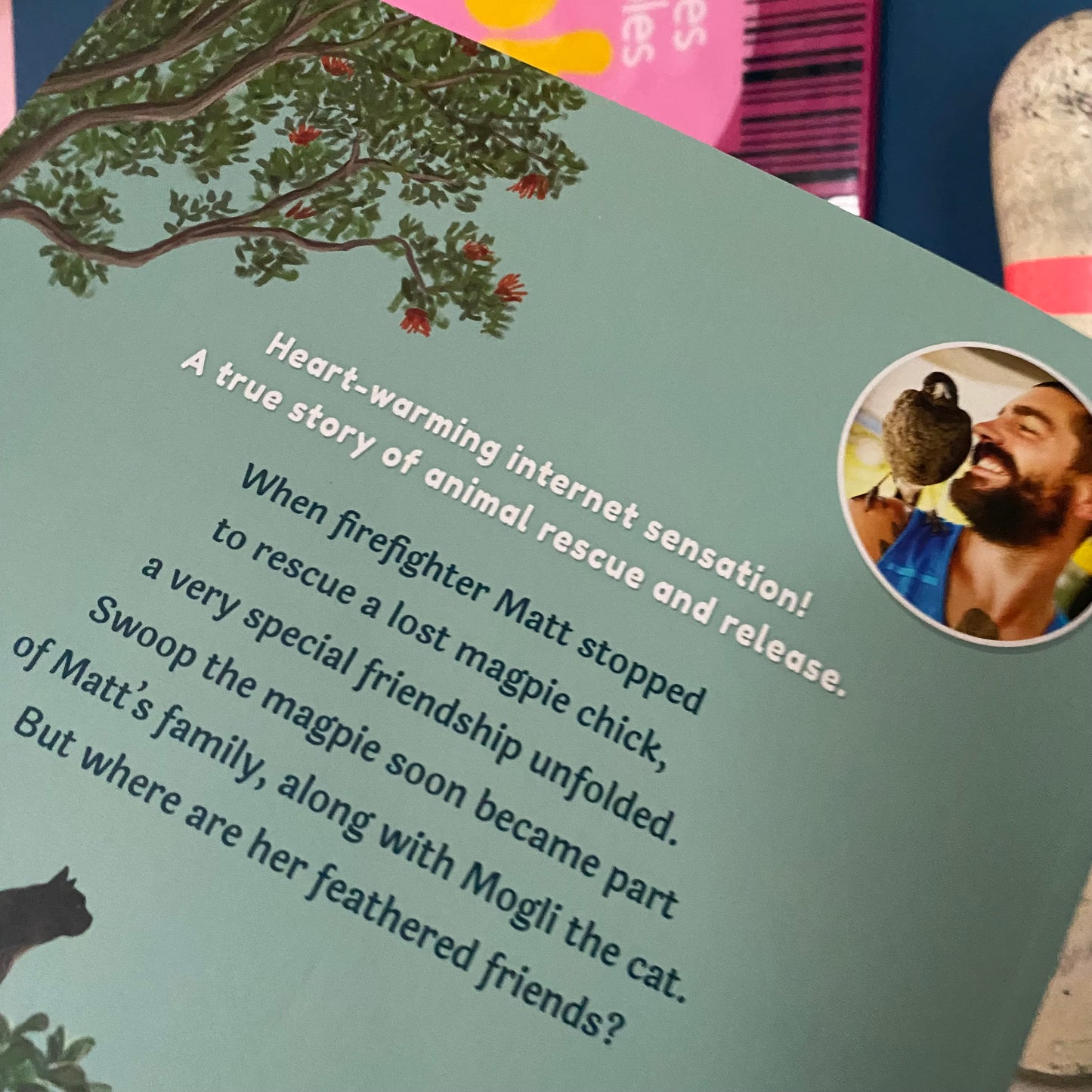 The Story Of Swoop Book