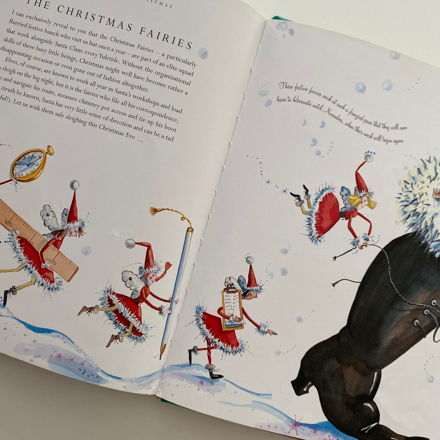 Betty Bib’s Fairy Christmas Book