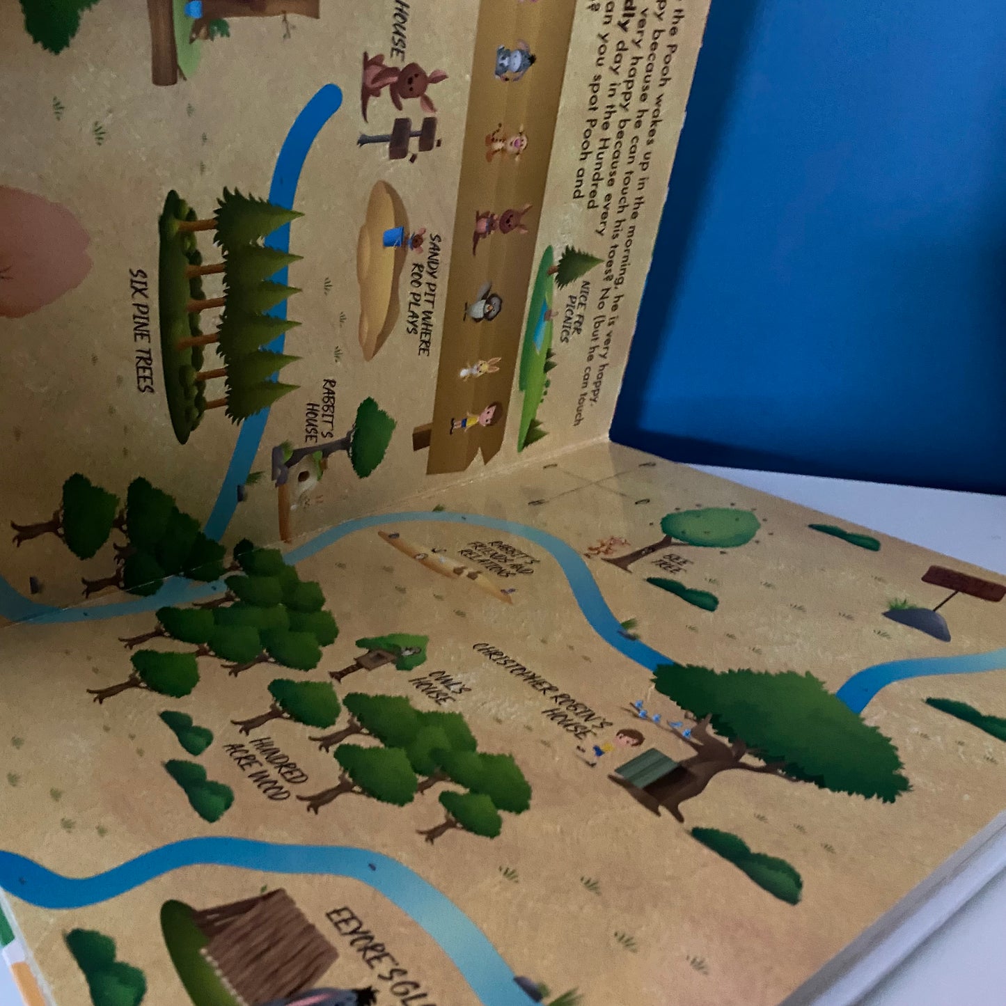 Disney Winnie The Pooh Look & Find Book