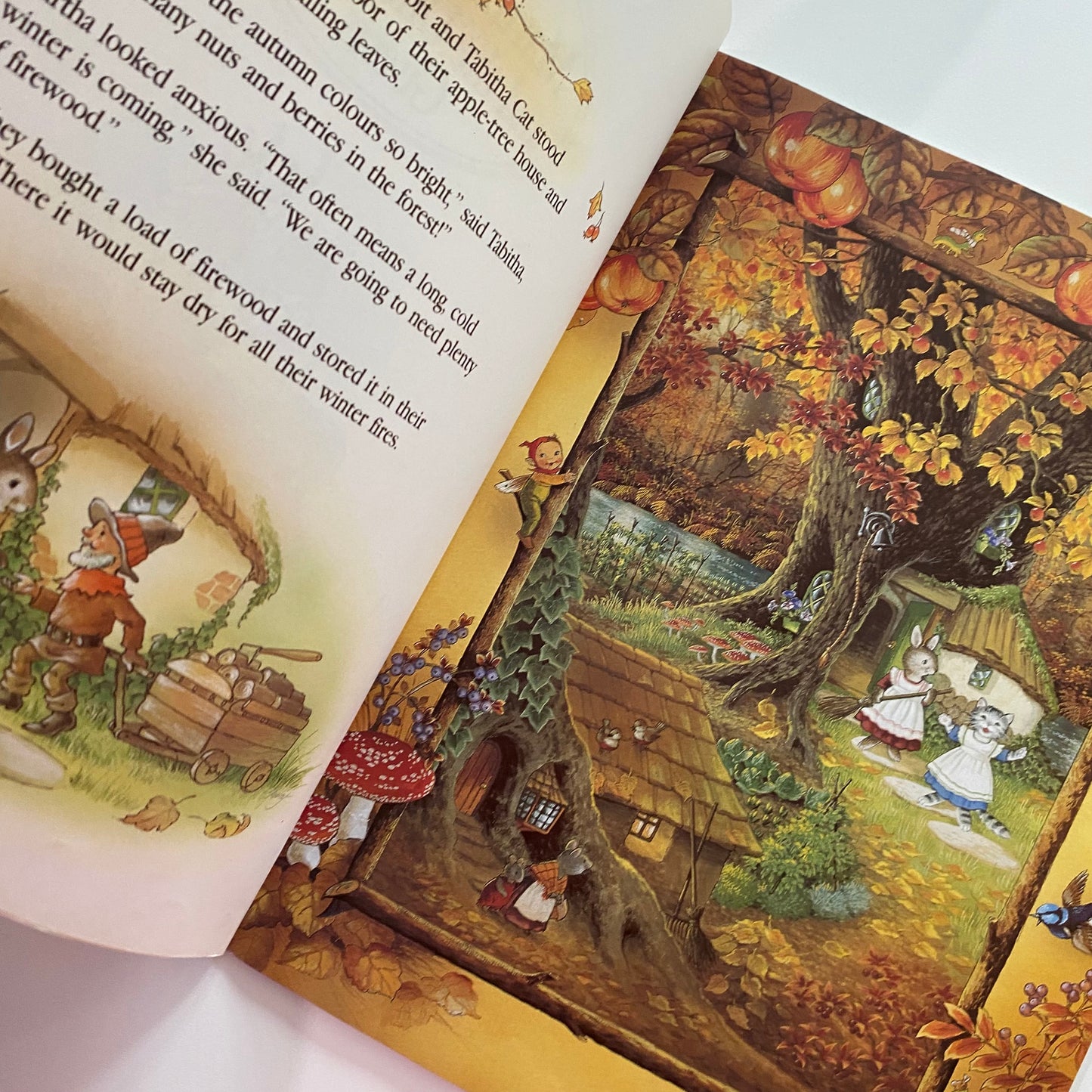 Shirley Barber Martha B. Rabbit & The Unexpected Guests Book