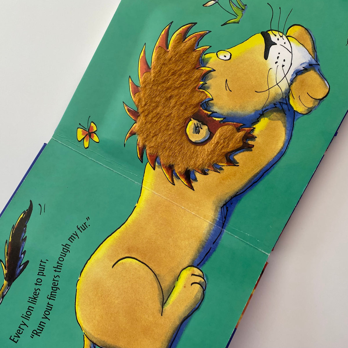 Giraffes Can’t Dance Touch & Feel Board Book