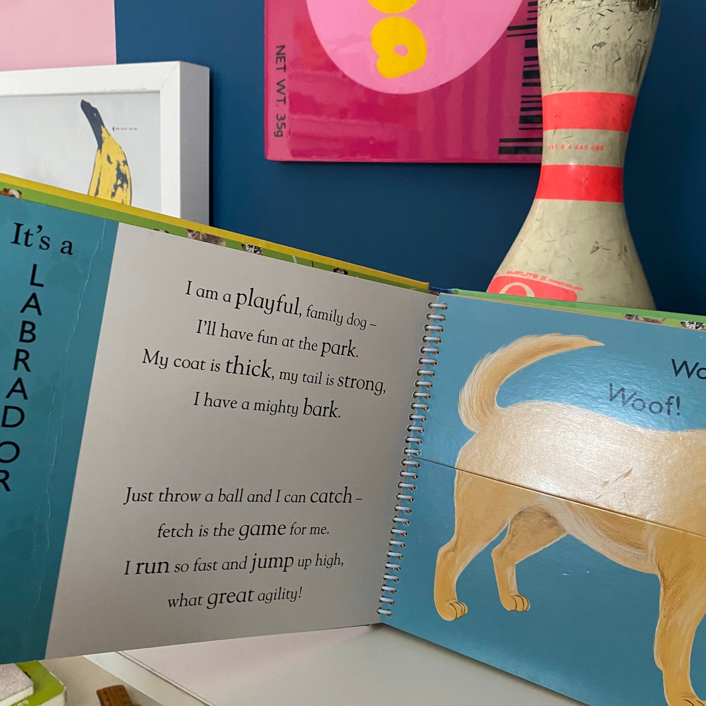 Axel Schefflers Flip Flap Dogs Book