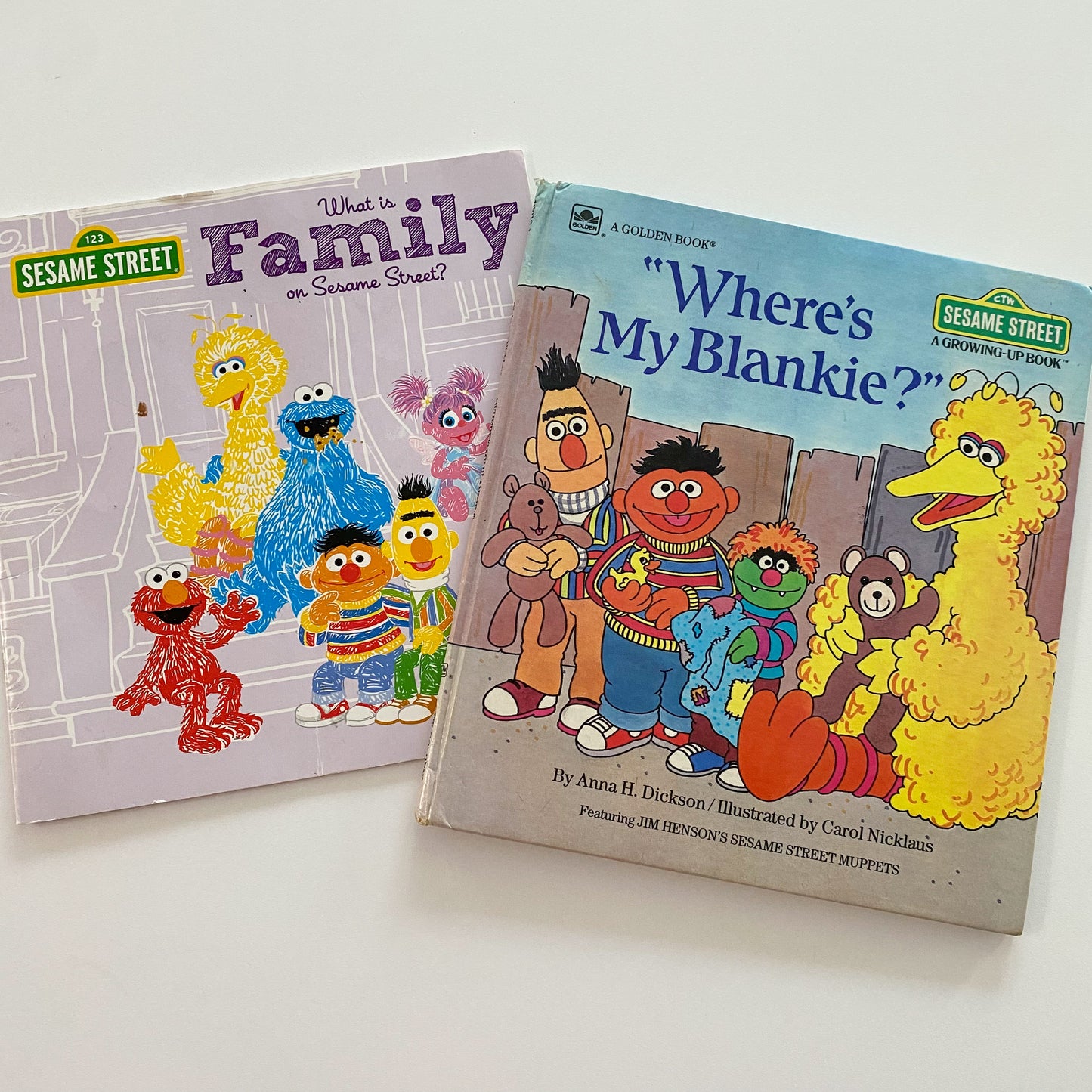 Sesame Street Book Bundle (FLAW)