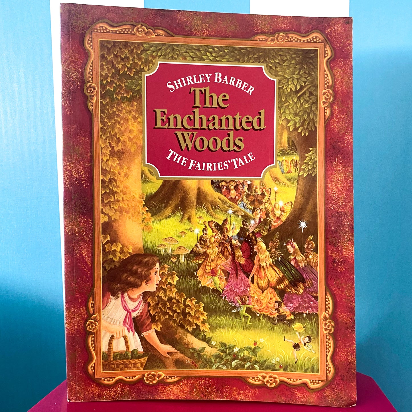 Shirley Barber The Enchanted Woods Book