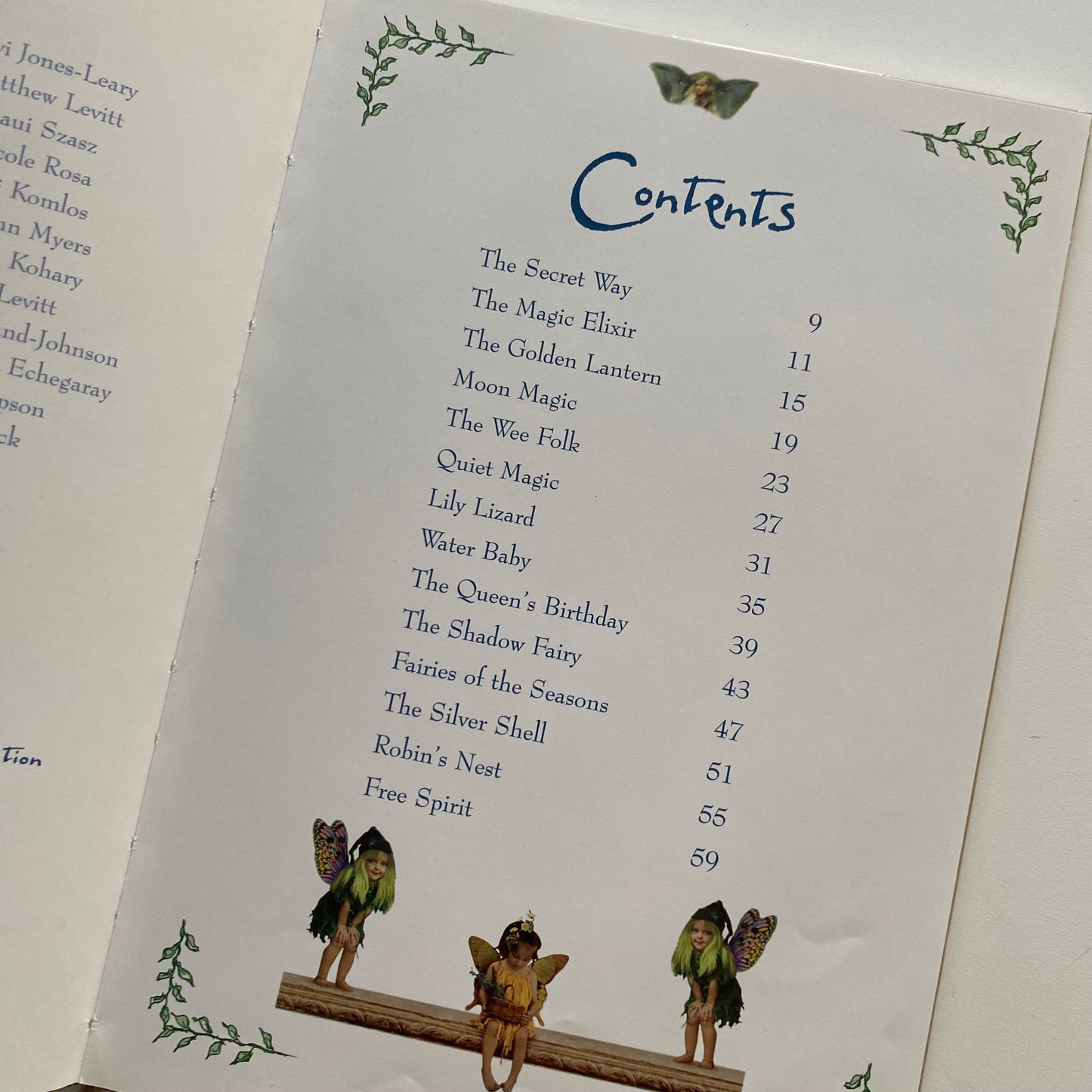 The Secret World Of Fairies Book