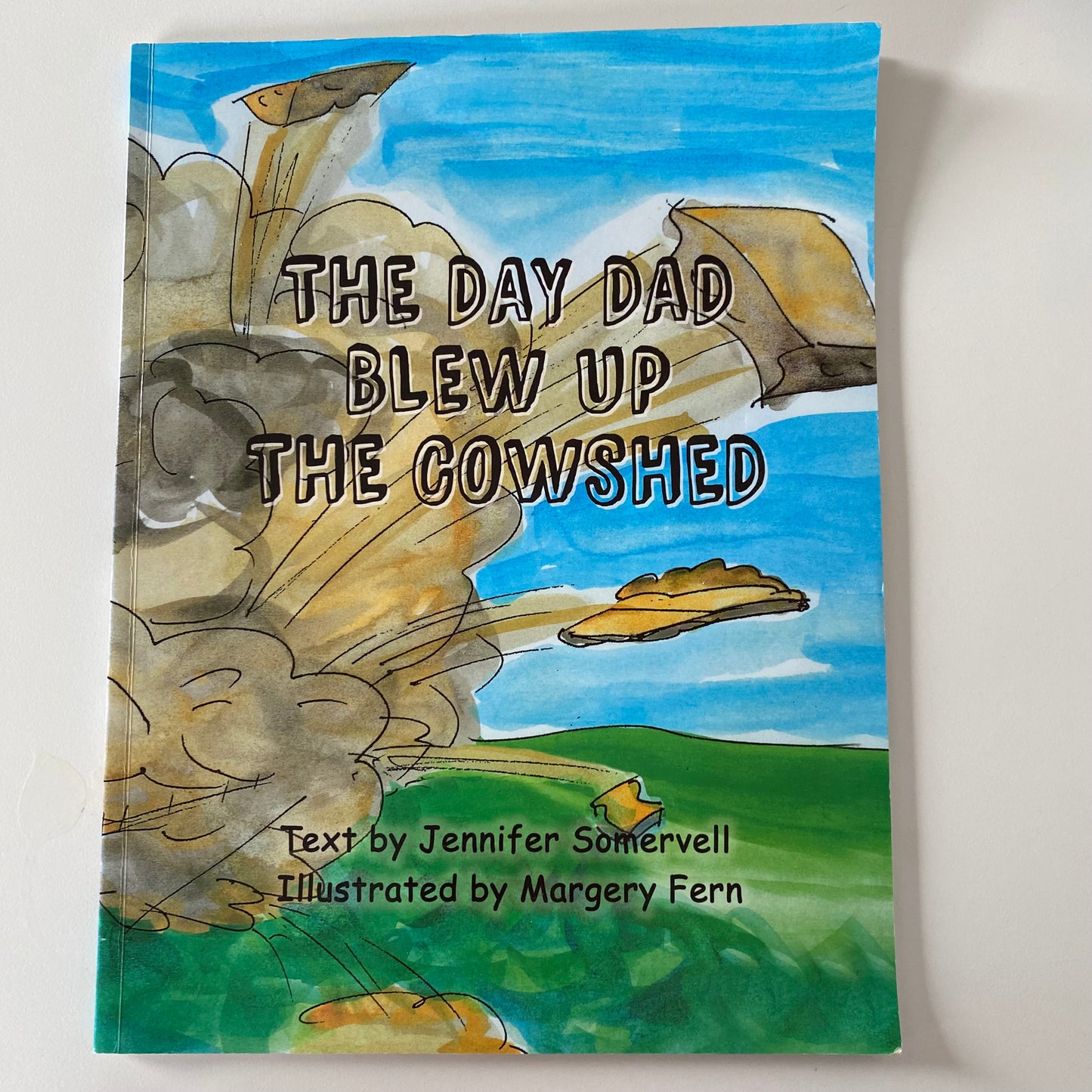 The Day Dad Blew Up The Cowshed Book