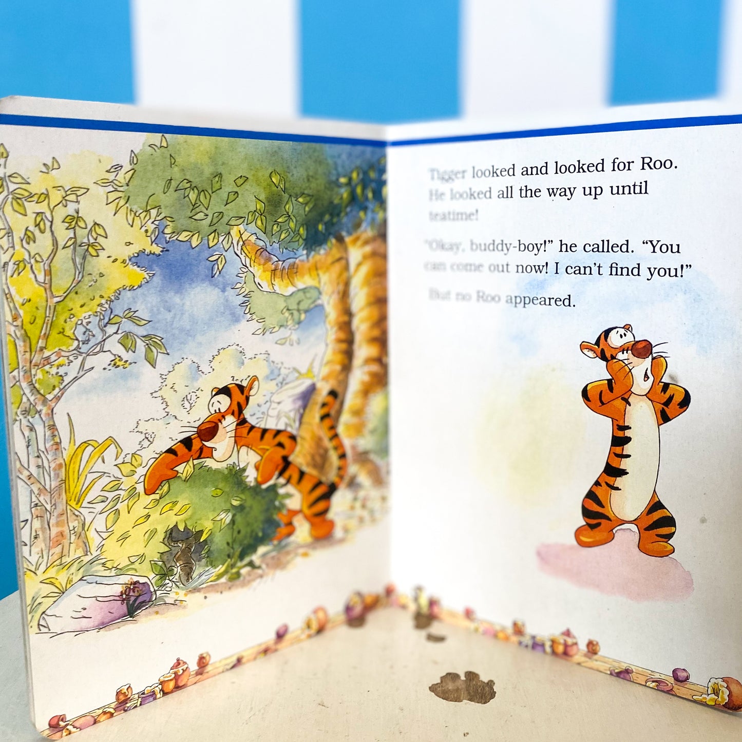 Winnie The Pooh & Friends Books